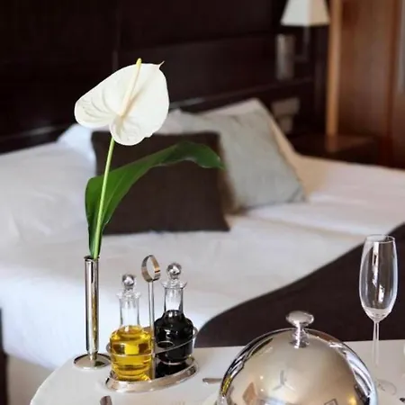 Gryf Deluxe Apartmán Štetín